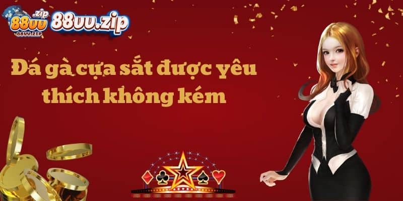 Đá gà cựa sắt được yêu thích không kém